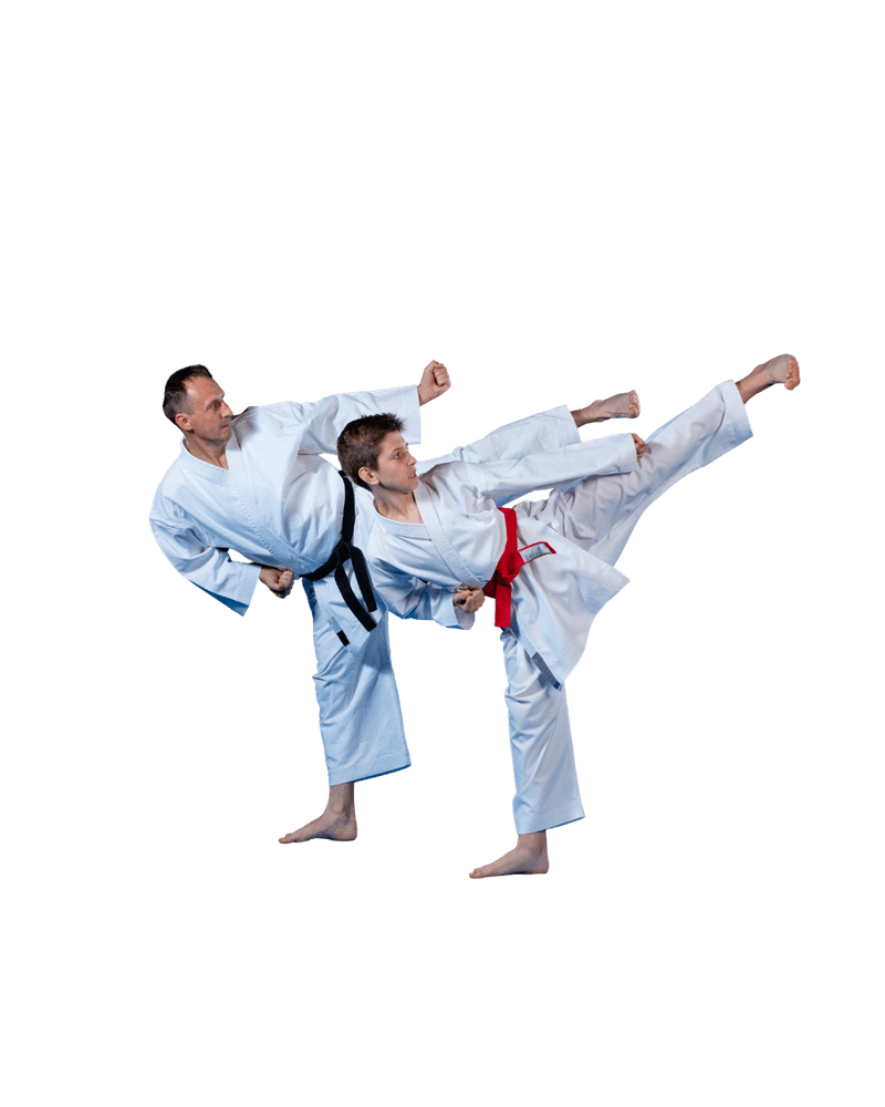 Karate athletes performing kata and kumite
